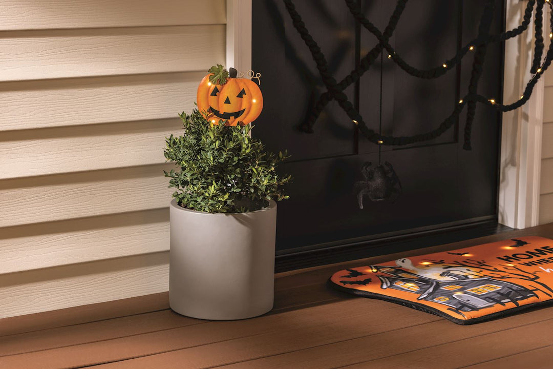 Halloween-themed decor with a potted plant, jack-o'-lantern, and decorative mat on a wooden deck.