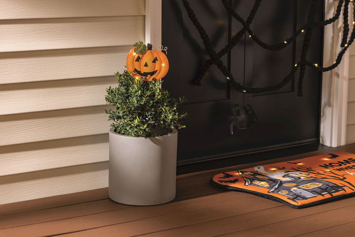 Halloween-themed decor with a potted plant, jack-o'-lantern, and decorative mat on a wooden deck.