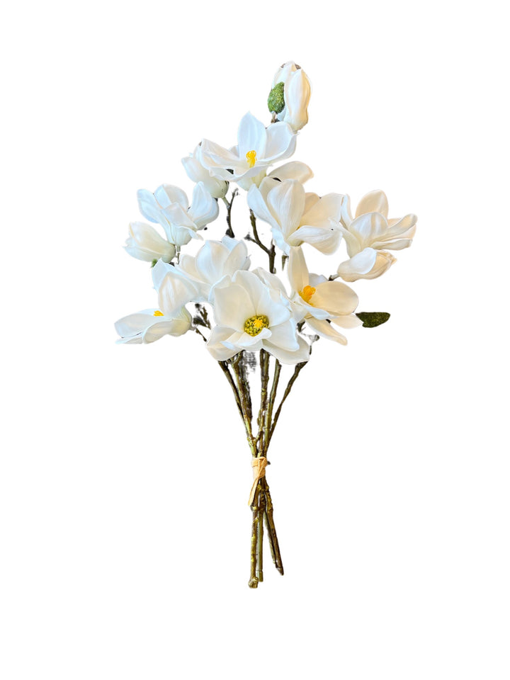 Magnolia Bundle, Cream