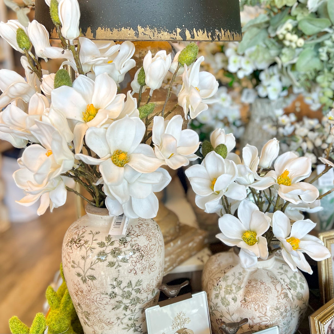 Magnolia Bundle, Cream