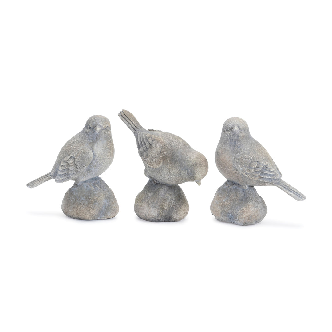 Bird On Stone