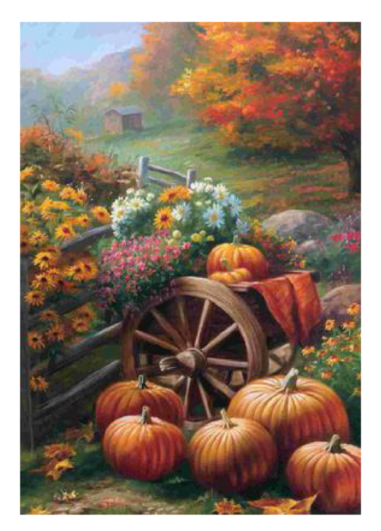 Fall Pumpkins Flag