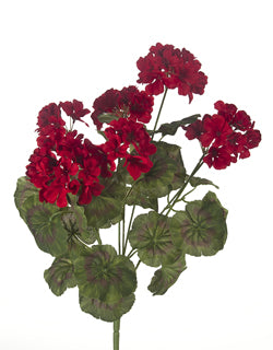 Geranium Bush, 20"