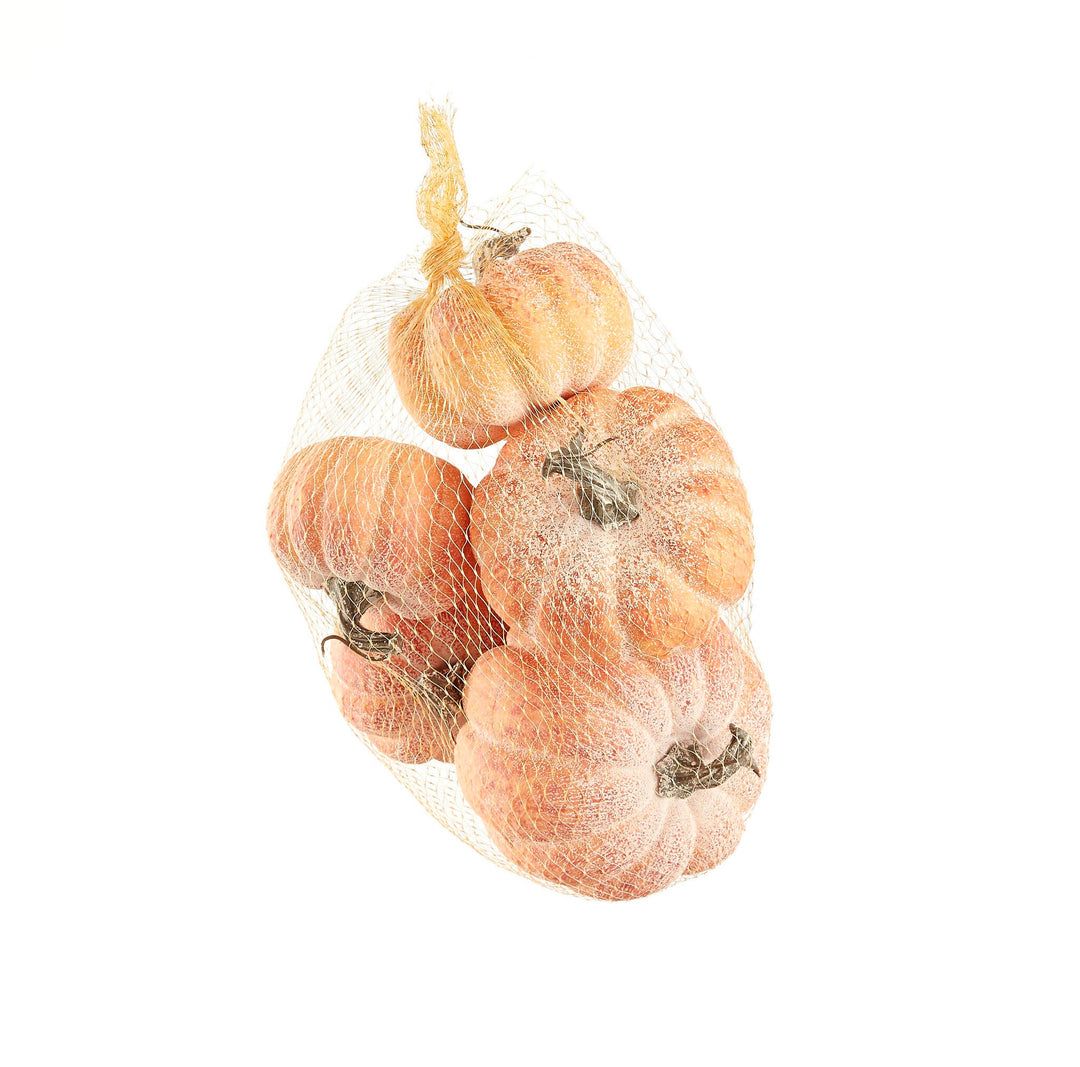 Bag of Powdered Pumpkin Gourds