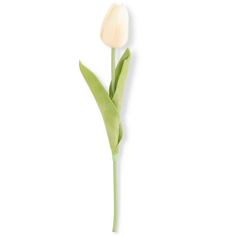 Light Peach Mini Tulip
