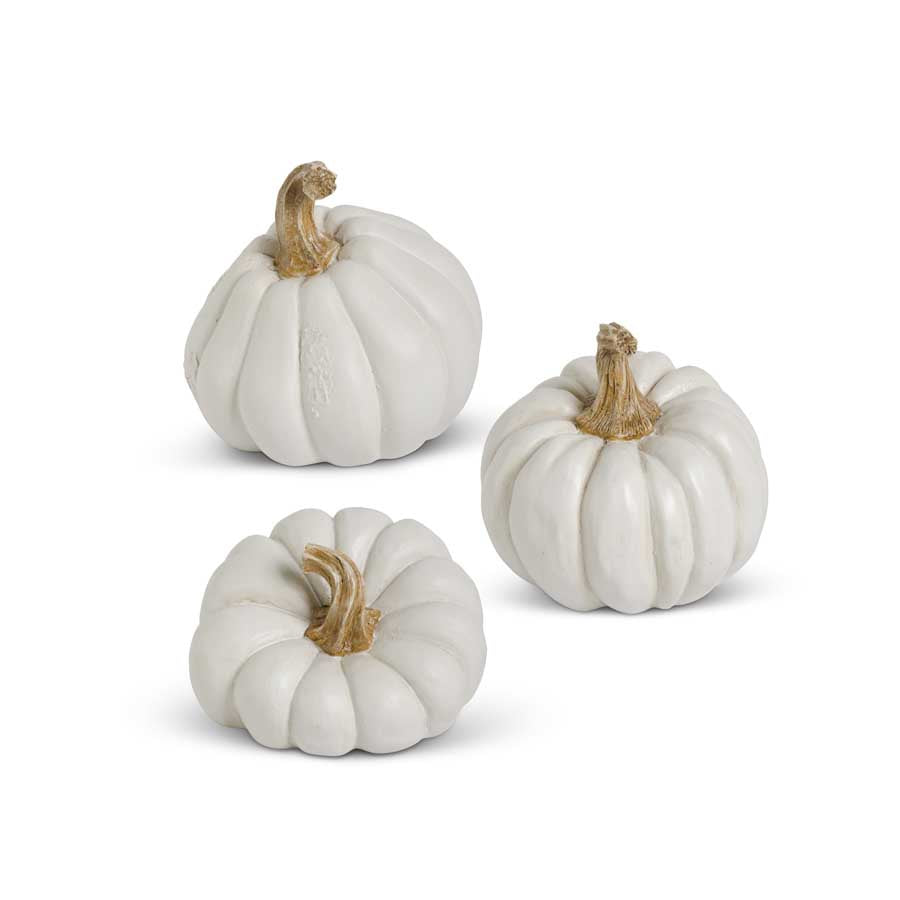 White Pumpkin, Small