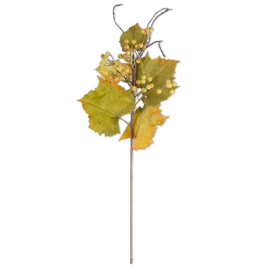 Grape Leaves w/Berries Stem