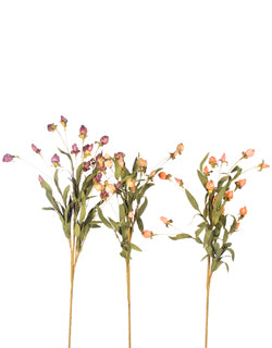 Bud Spray, 31"