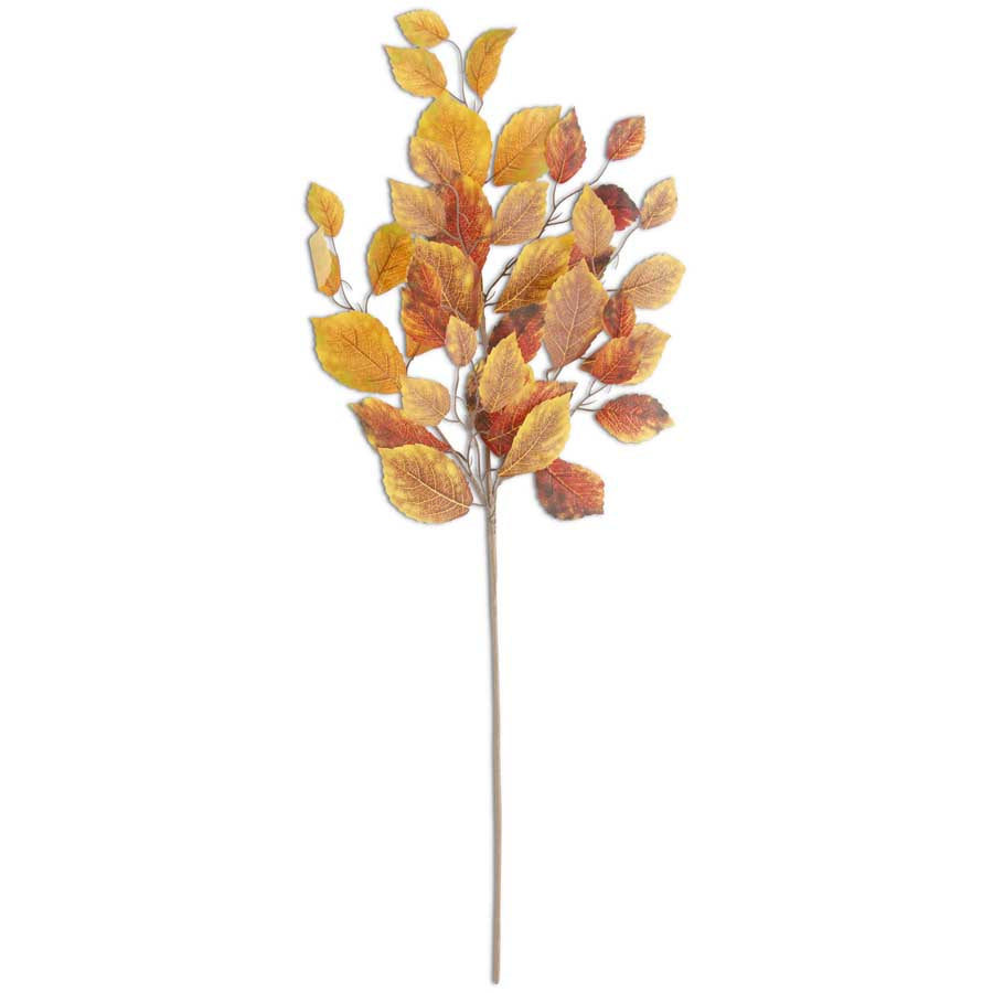 Yellow/Rust Birch Leaves Stem