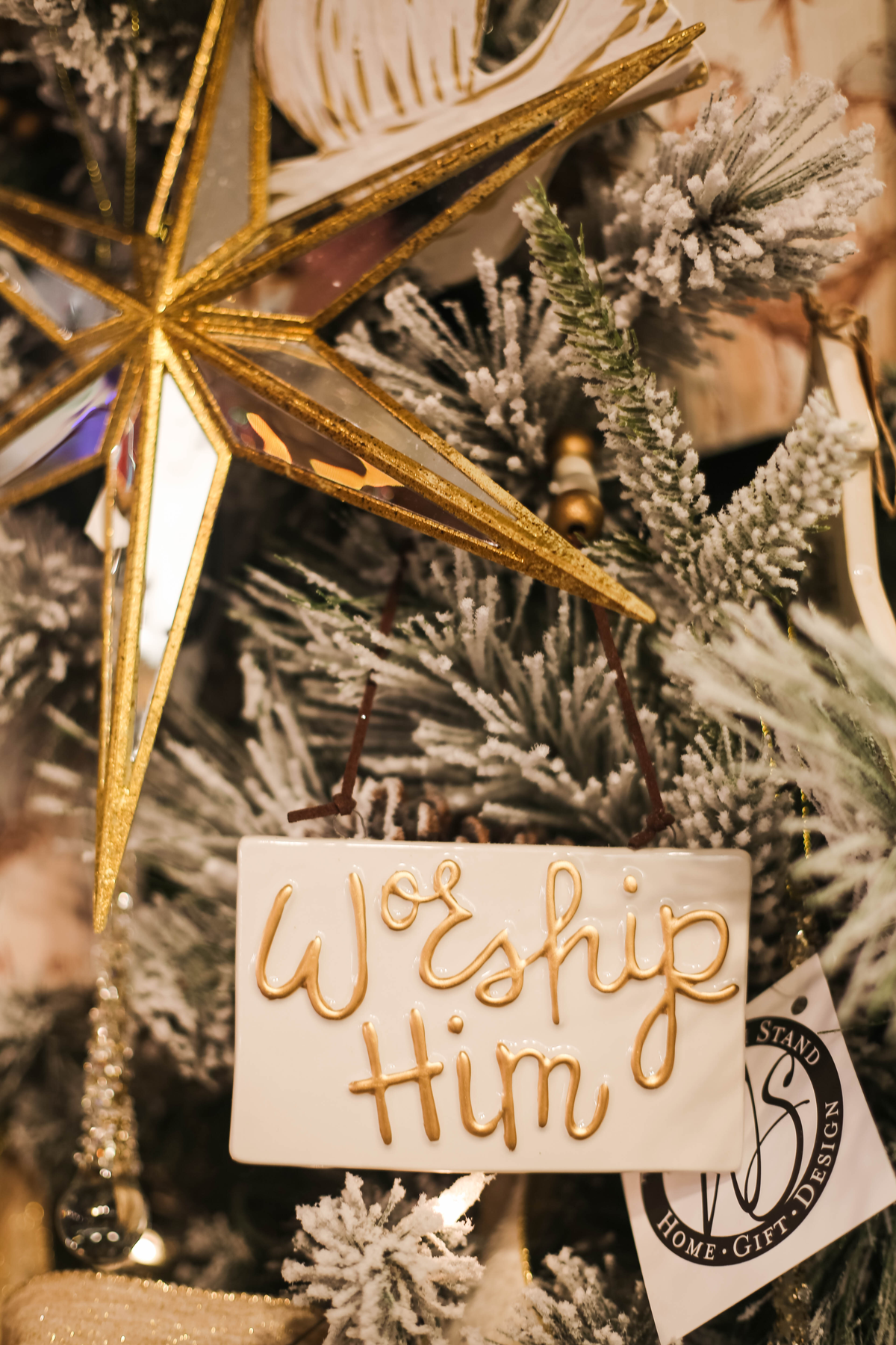 The Reason for the Season
