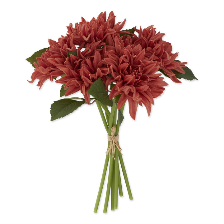 Dahlia Bundle