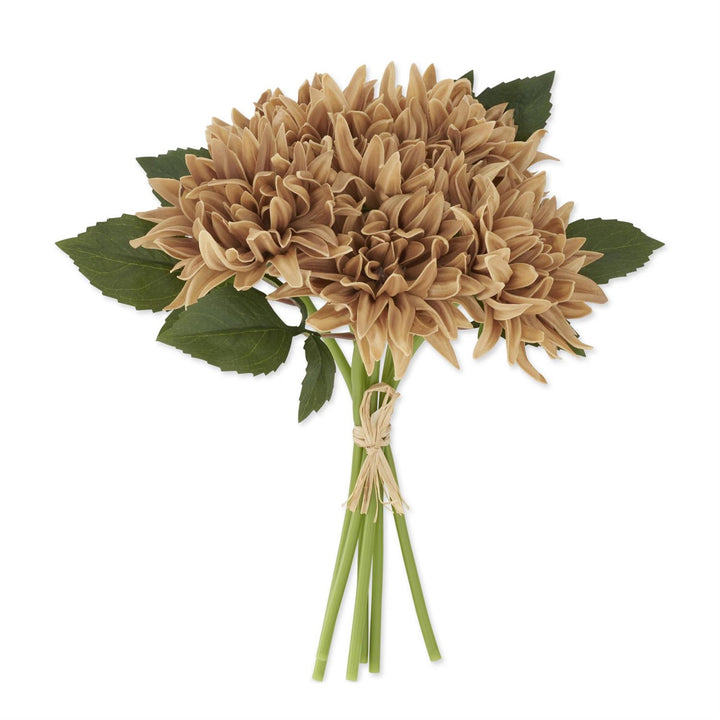 Dahlia Bundle