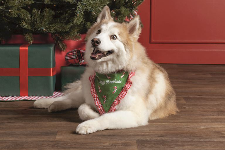 Pet Christmas Bandanas