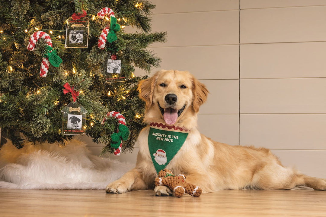 Christmas Rope Pet Toy