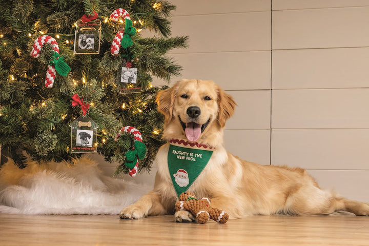 Christmas Rope Pet Toy