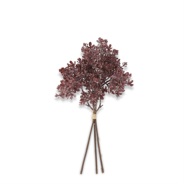Dried Wildflower Bundle