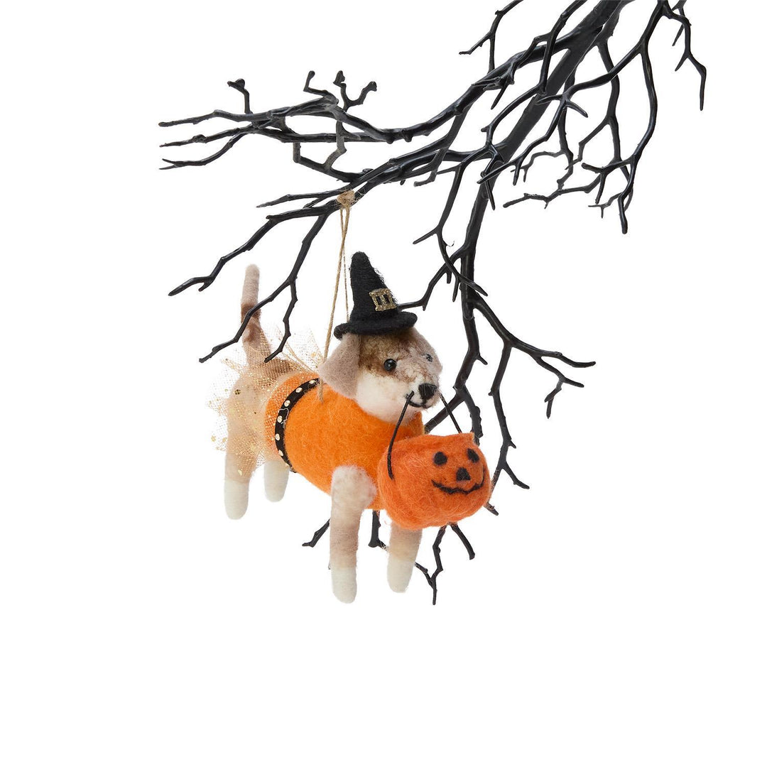Trick Or Treat Animal Ornament