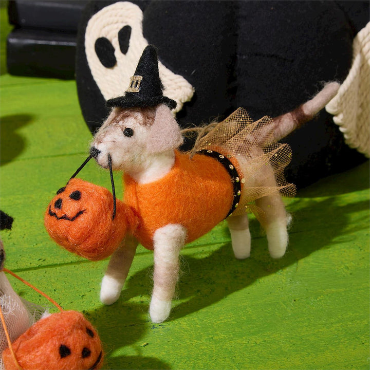 Trick Or Treat Animal Ornament