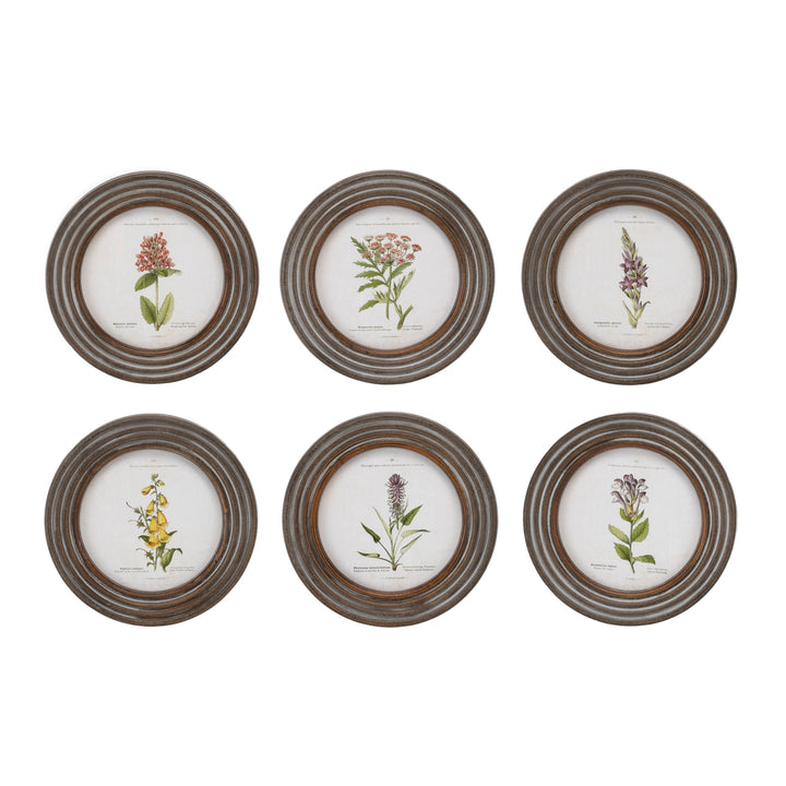 Floral Framed Print