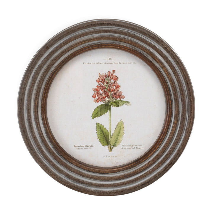 Floral Framed Print