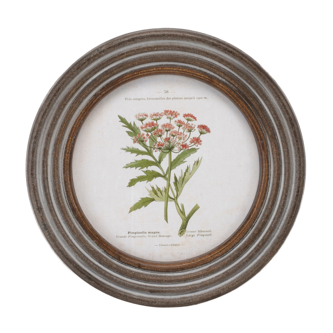 Floral Framed Print