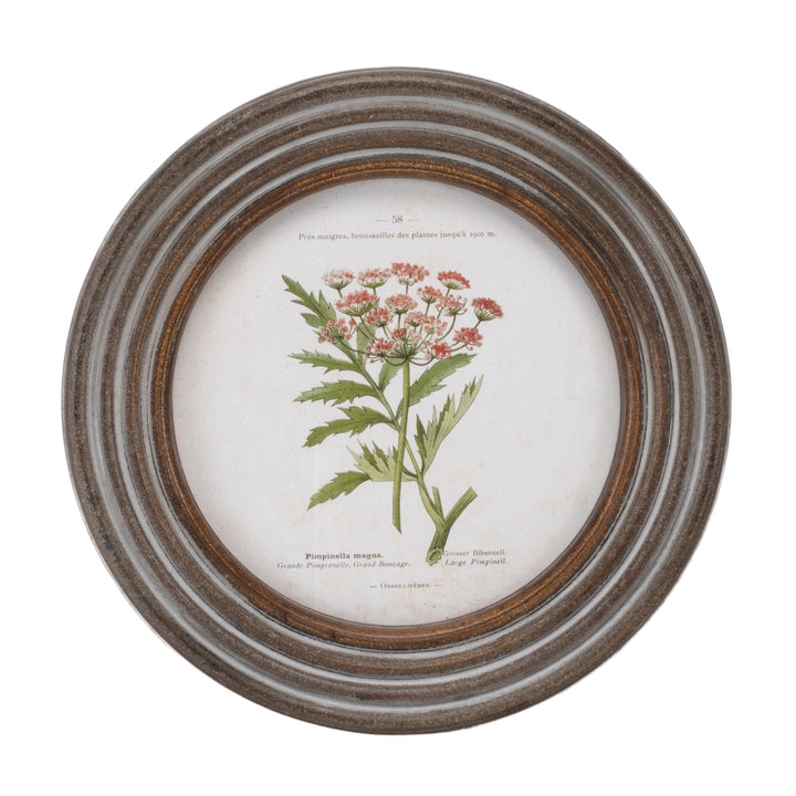 Floral Framed Print