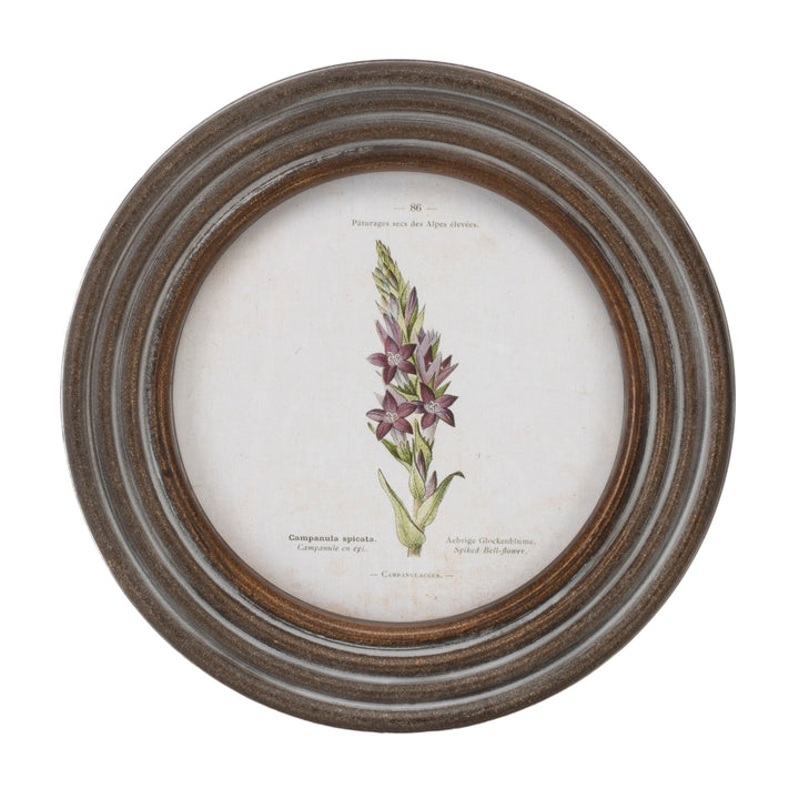 Floral Framed Print