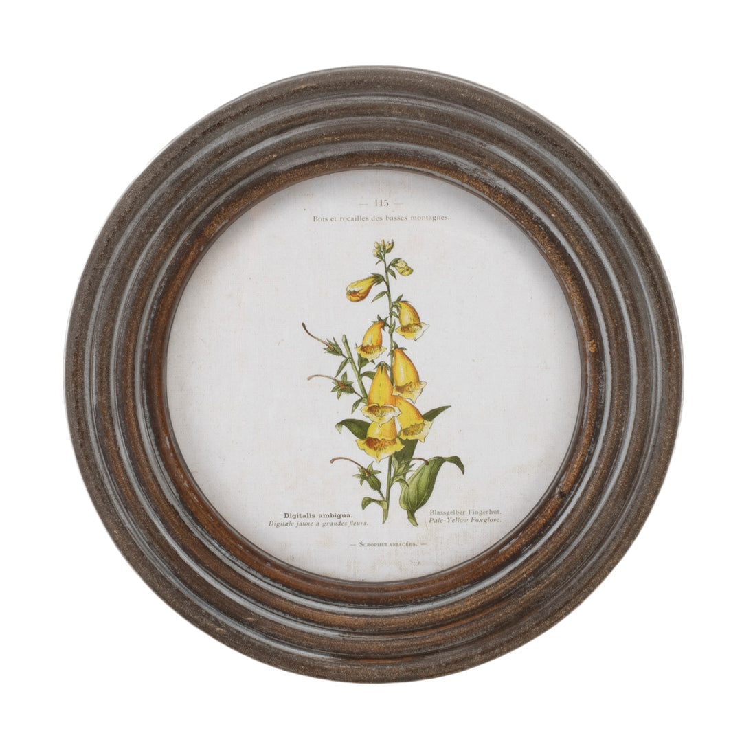 Floral Framed Print