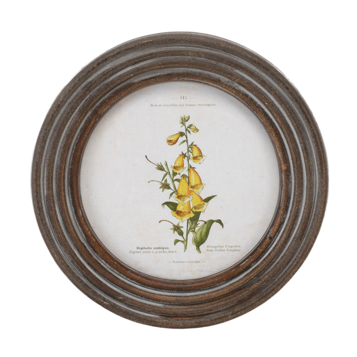 Floral Framed Print
