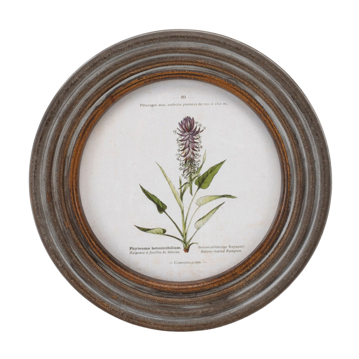 Floral Framed Print