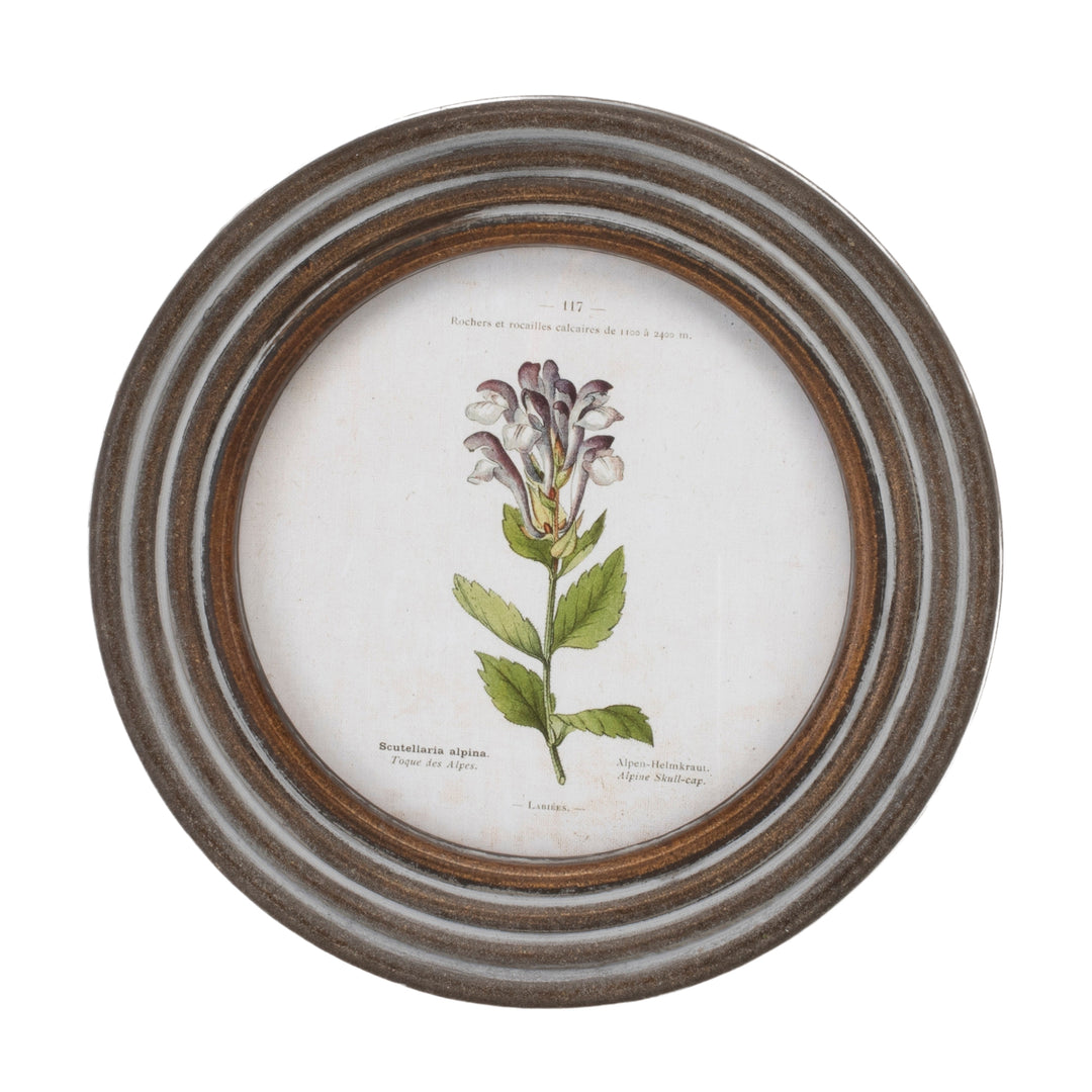 Floral Framed Print