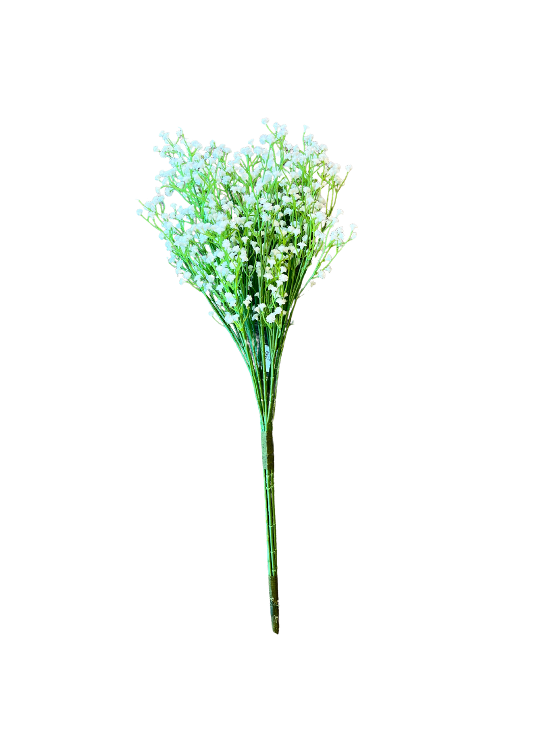 White Gypsy Bush, Large