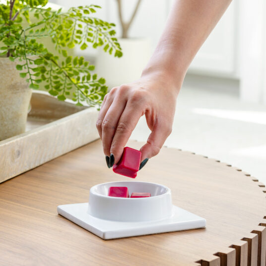 Illumination Fragrance Warmer Gingerbread