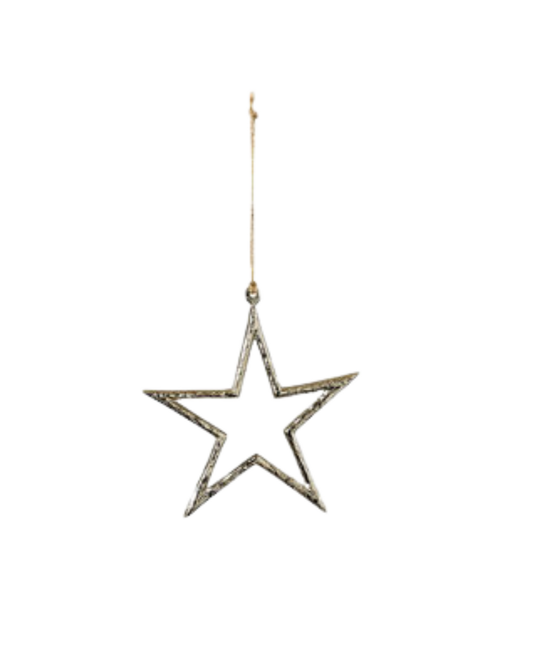 Shiny Star Ornament