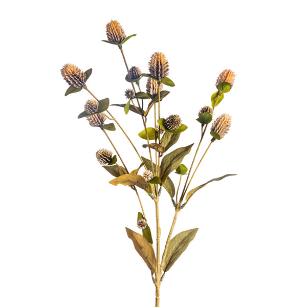Globosa Spray