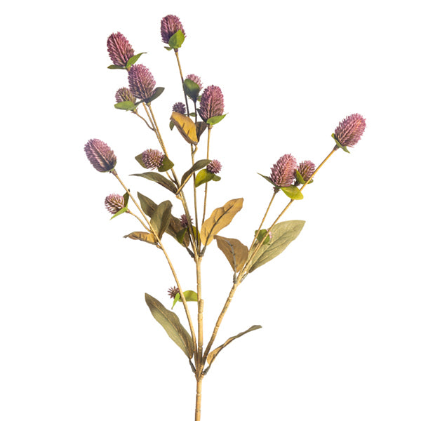 Globosa Spray