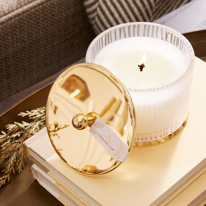 Frasier Fir Gilded Medium Poured Candle