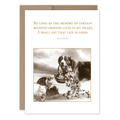 Sympathy Card