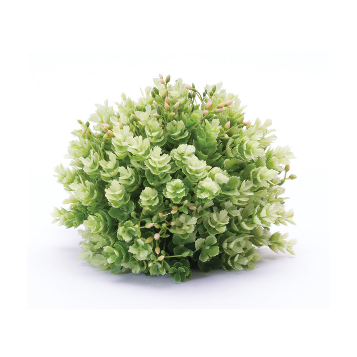 Green Half Orb w/Pink Buds