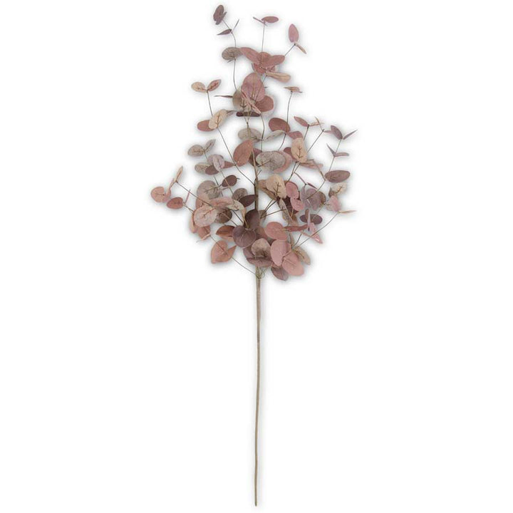 Two-Toned Eucalyptus Stem