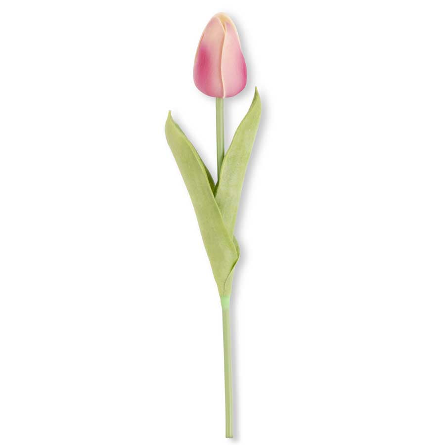 Mauve Mini Tulip